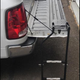 Pick Up Rear Ladder